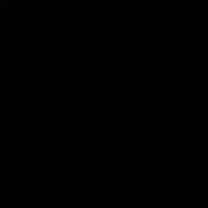 Meet your Posher, Wilson